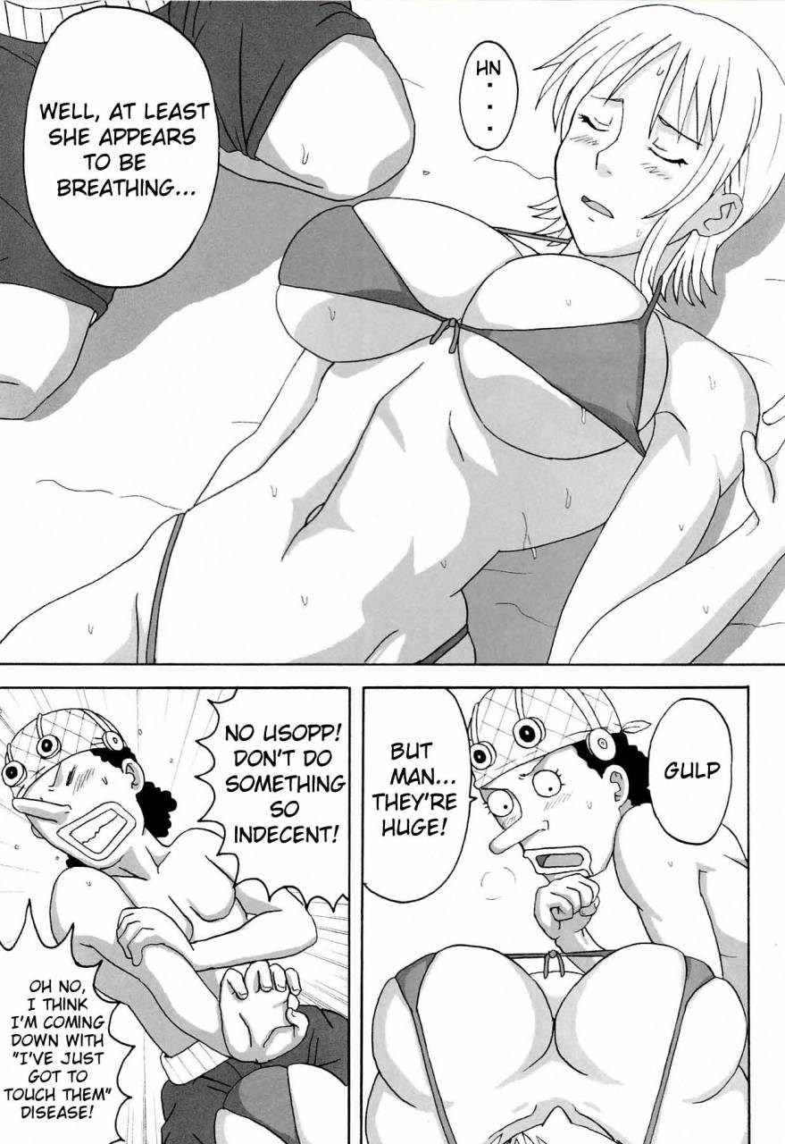 sc39-naruho-dou-naruhodo-ii-nami-yume-kibun-good-nami-dream-feeling-one-piece-english-doujin-moe-us