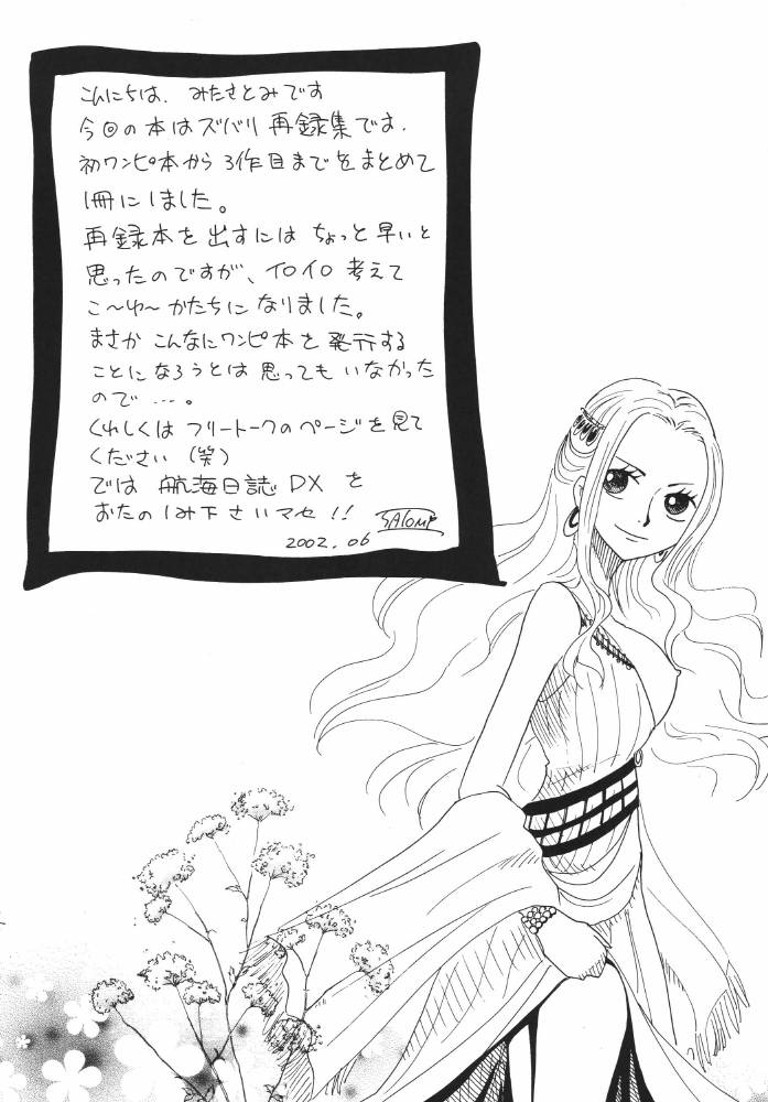 ginmomodou-mita-satomi-koukai-nisshi-dx-one-piece
