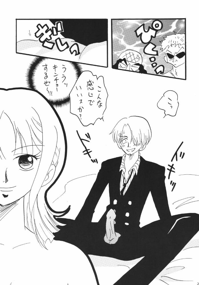 ginmomodou-mita-satomi-koukai-nisshi-dx-one-piece