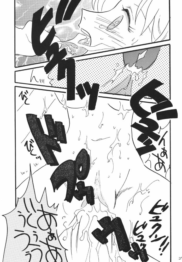 ginmomodou-mita-satomi-koukai-nisshi-dx-one-piece