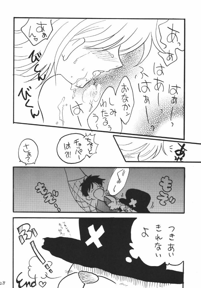 ginmomodou-mita-satomi-koukai-nisshi-dx-one-piece
