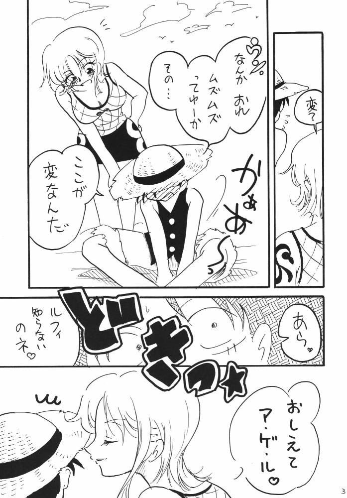 ginmomodou-mita-satomi-koukai-nisshi-dx-one-piece