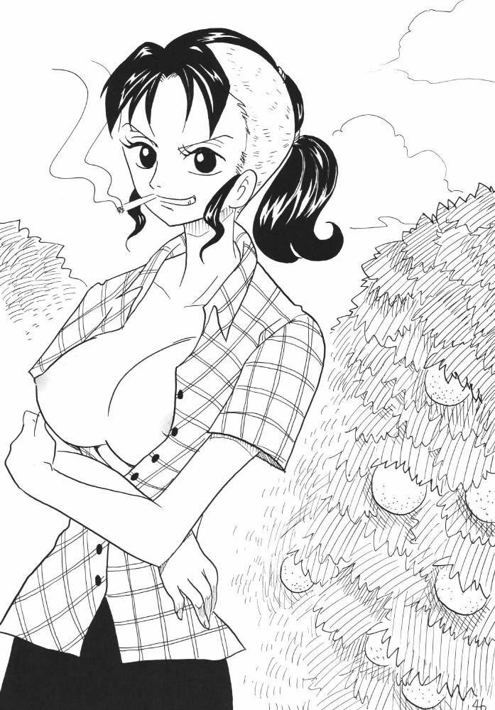 ginmomodou-mita-satomi-koukai-nisshi-dx-one-piece