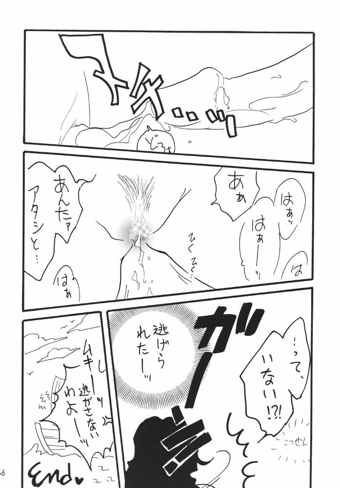 ginmomodou-mita-satomi-koukai-nisshi-dx-one-piece