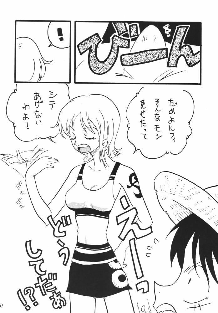 ginmomodou-mita-satomi-koukai-nisshi-dx-one-piece