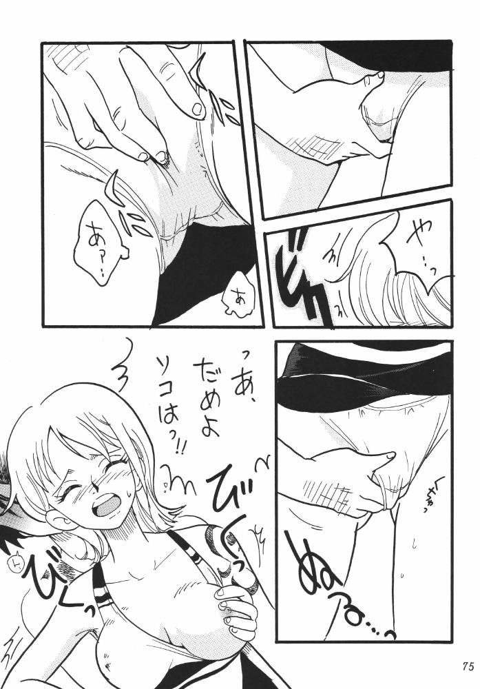 ginmomodou-mita-satomi-koukai-nisshi-dx-one-piece