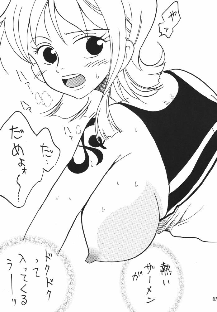 ginmomodou-mita-satomi-koukai-nisshi-dx-one-piece
