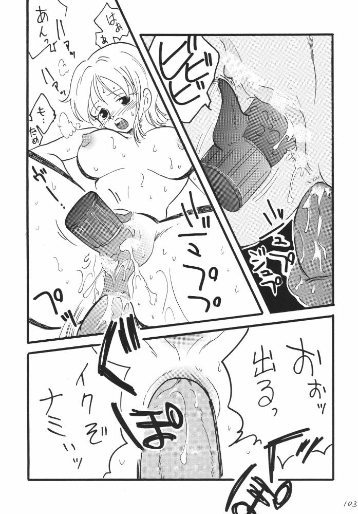ginmomodou-mita-satomi-koukai-nisshi-dx-one-piece