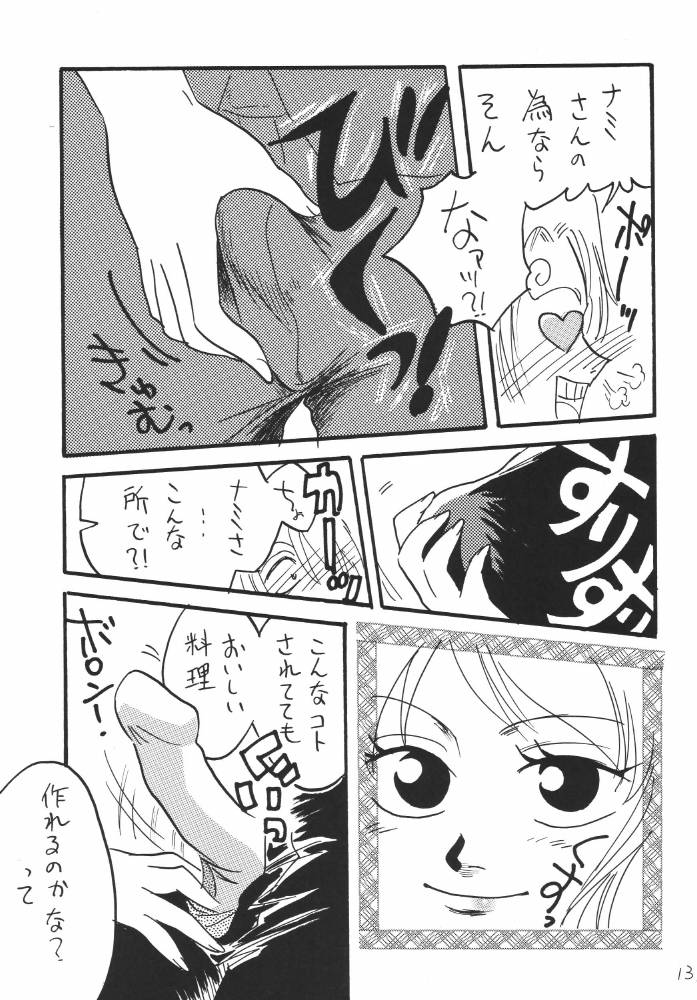 ginmomodou-mita-satomi-koukai-nisshi-dx-one-piece