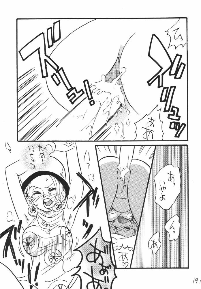 ginmomodou-mita-satomi-koukai-nisshi-dx-one-piece