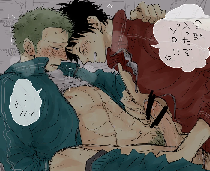 monkey-d-luffyroronoa-zoro
