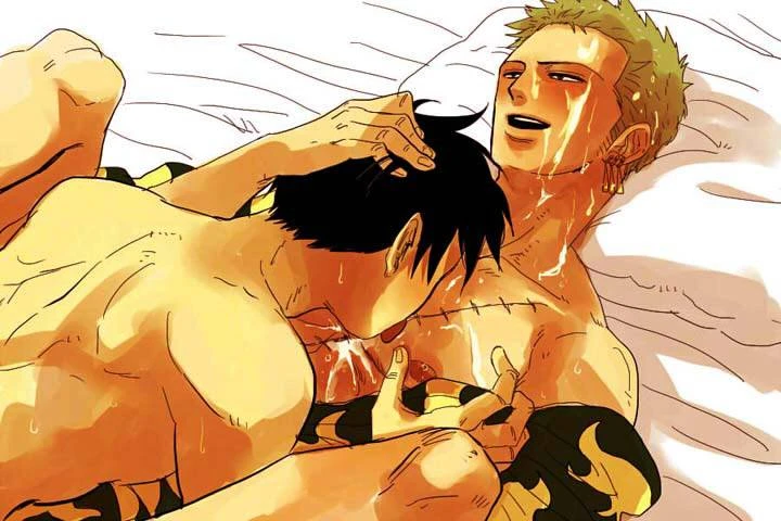 monkey-d-luffyroronoa-zoro