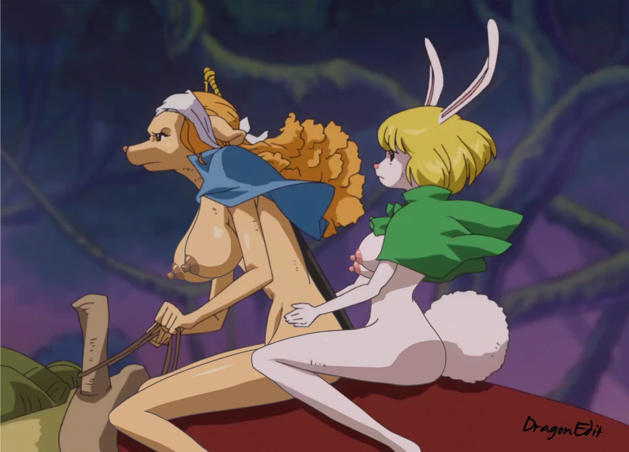 carrot-one-piecewanda-one-piece