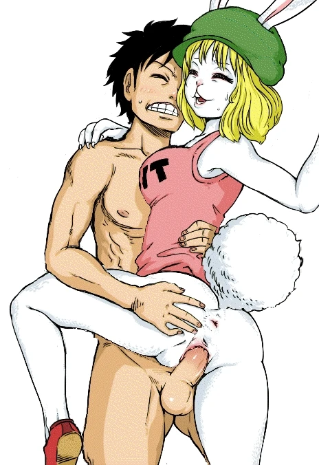 carrot-one-piecemonkey-d-luffy