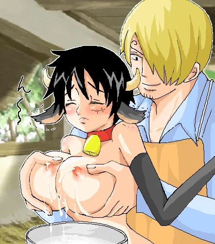 monkey-d-luffysanji