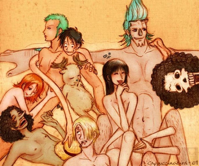 brook+franky+monkey d luffy+nami+nico robin+roronoa zoro+sanji+tony tony chopper+usopp