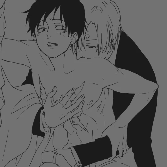 monkey d luffy+sanji