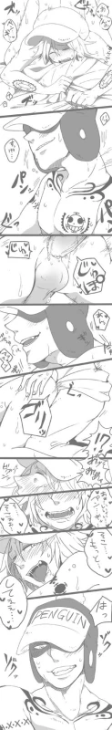 penguin (one piece)+shachi (one piece)