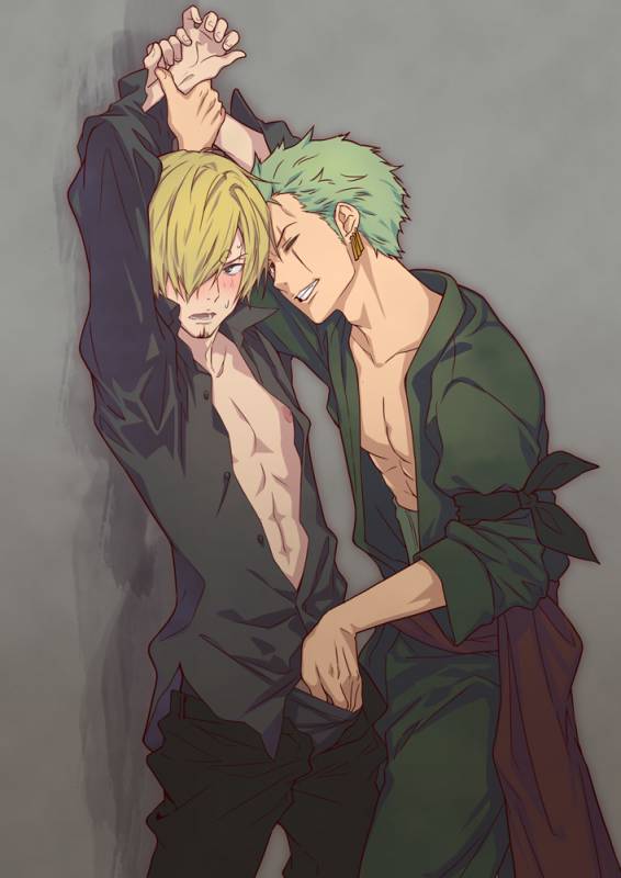 roronoa zoro+sanji