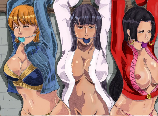 boa hancock+nami+nico robin
