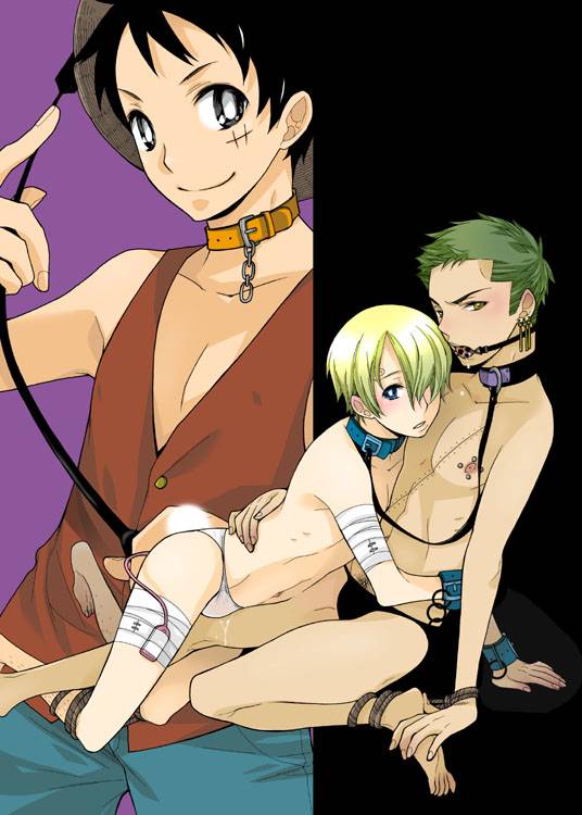 monkey d luffy+roronoa zoro+sanji