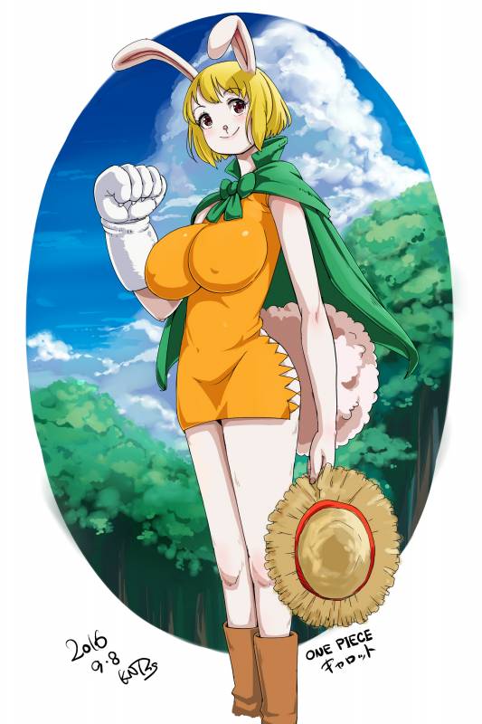 carrot (one piece)