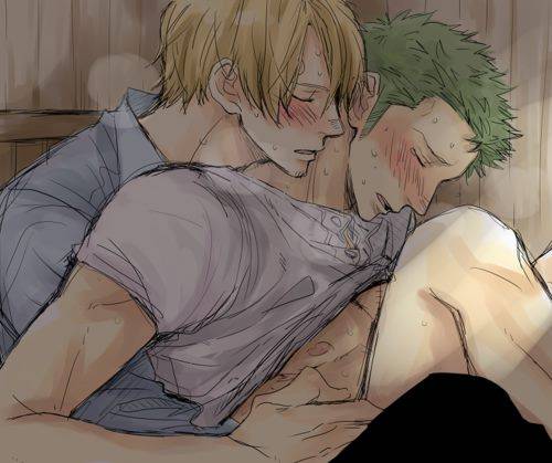 roronoa zoro+sanji