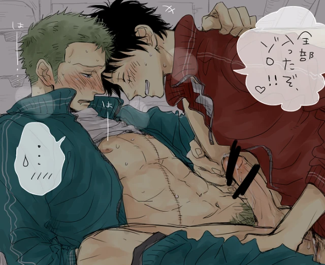 monkey d luffy+roronoa zoro