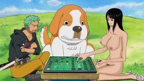 nico robin+roronoa zoro
