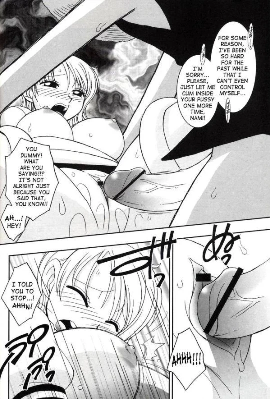 monkey d luffy+nami