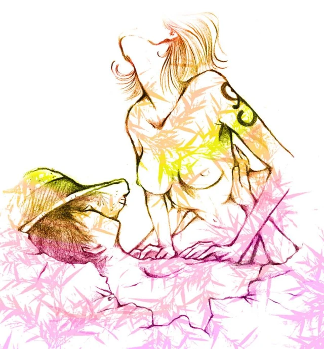 monkey d luffy+nami
